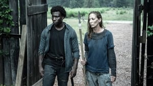 The Walking Dead: S11E15 Sezon 11 Odcinek 15