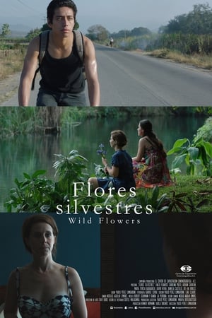 Poster Wild Flowers (2015)