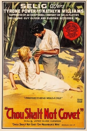 Poster Thou Shalt Not Covet (1916)