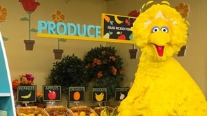 Sesame Street Grocery Games