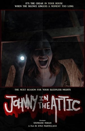 Poster Johnny in the Attic ()