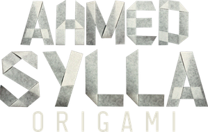Ahmed Sylla - Origami