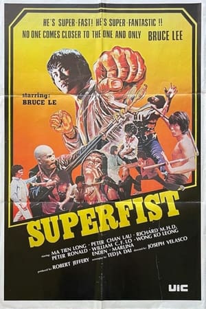 Poster Superfist 1976