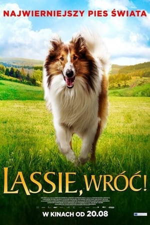 Poster Lassie, wróć! 2020