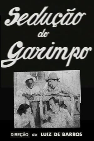 Image Sedução do Garimpo