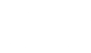 Смешарики: Новый сезон — Logos 1