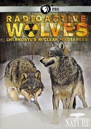 Poster Radioactive Wolves: Chernobyl's Nuclear Wilderness (2011)
