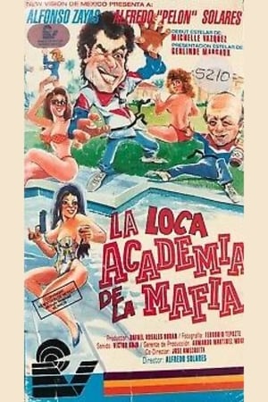Poster La loca academia de la mafia 1993