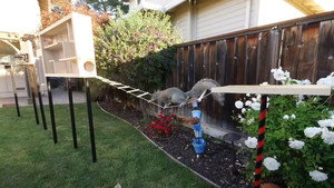 Mark Rober’s CrunchLabs Temporada 3 Capítulo 2