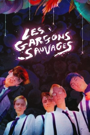 Les Garçons sauvages 2017