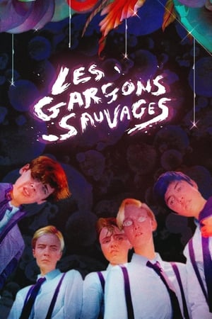 Poster Les Garçons sauvages 2017