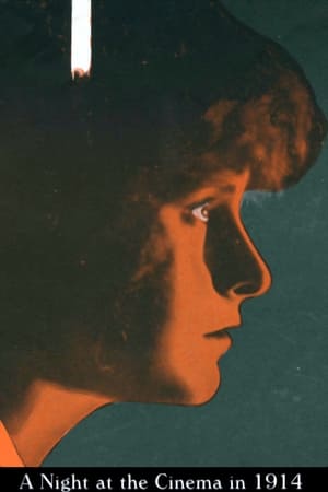 A Night at the Cinema in 1914 poster