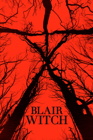 Image Blair Witch: Ideglelés 3.