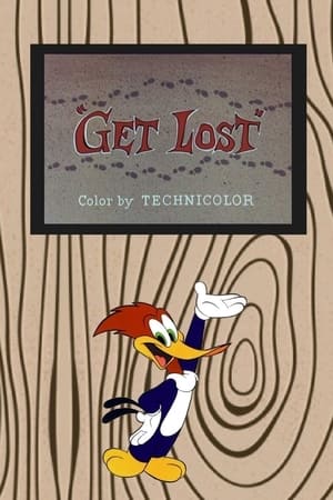Get Lost poster