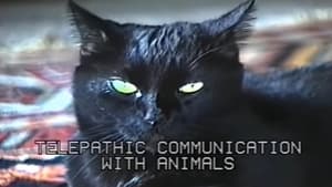 Telepathic Communication With Animals film complet