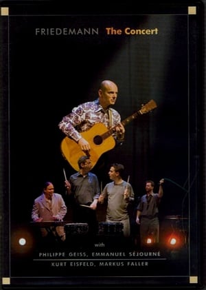 Poster Friedemann - The Concert 2004