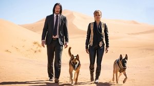 John Wick 3 – Parabellum