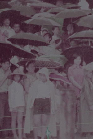 The Dragon Boat Festival