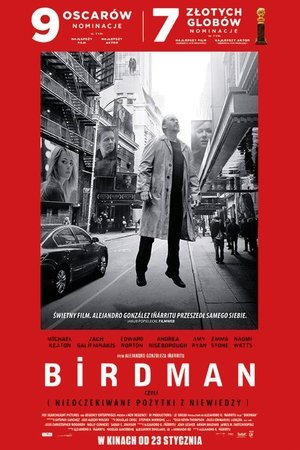 Birdman 2014