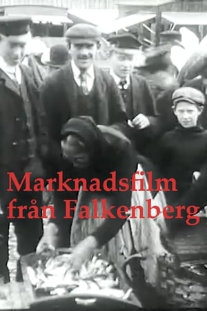 Image Marknadsfilm från Falkenberg