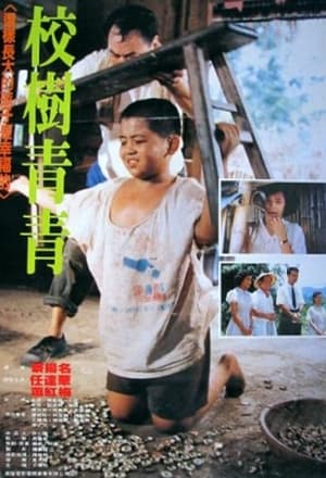 Poster 校樹青青 1988