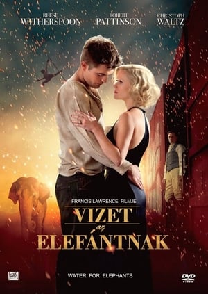 Poster Vizet az elefántnak 2011
