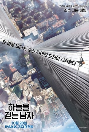 Poster 하늘을 걷는 남자 2015