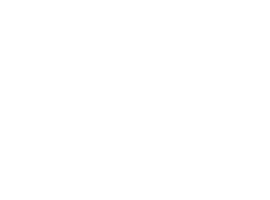 Pokémon 4Ever — Logos 9