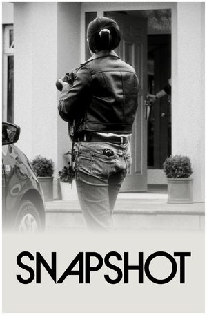 Snapshot (2026)