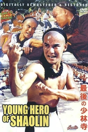 The Young Hero of Shaolin poster