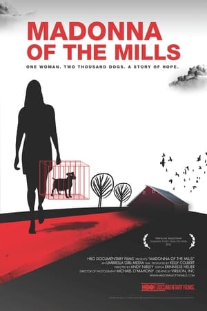 Poster Madonna of the Mills (2011)