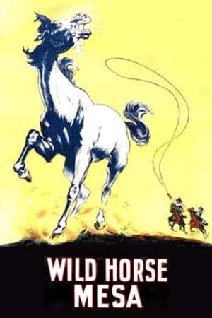 Poster Wild Horse Mesa 1925