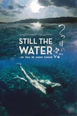 Still the Water poster