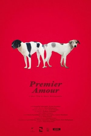 Poster Premier Amour 2020