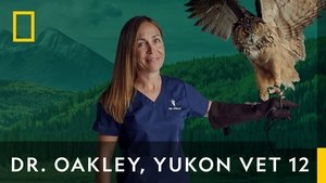 poster Dr. Oakley, Yukon Vet