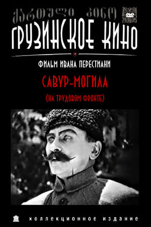 Poster Савур-могила 1926