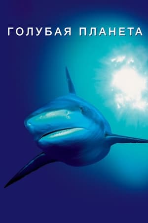 Poster Голубая планета Сезон 1 Сезонные моря 2001