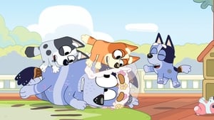 Bluey Season 1 Episode 9