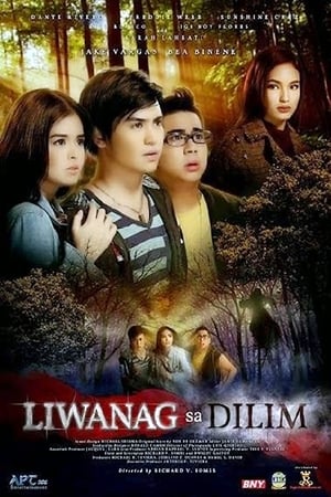 Liwanag sa Dilim poster