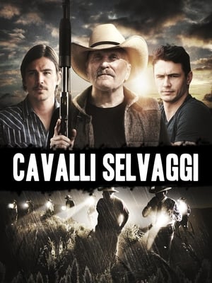 Cavalli selvaggi