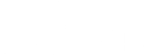 El rey león