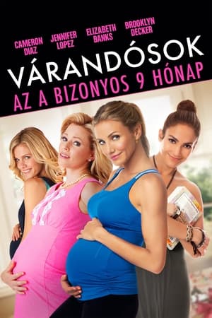 Várandósok - Az a bizonyos 9 hónap (2012)