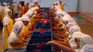 Sardines, Piaggio Scooters, Erector Sets