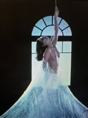 怪奇！巨大蜘蛛の館  Mysterious! Giant Spider House [1978] TVM