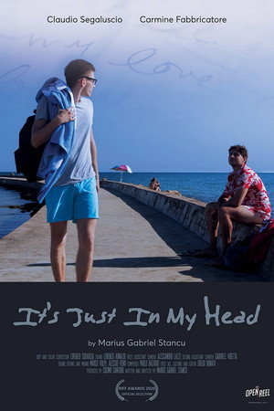 It's Just in My Head 14
