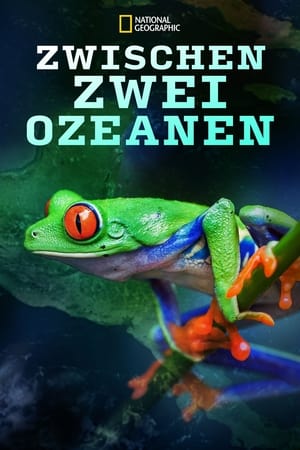 Image Zwischen Zwei Ozeanen