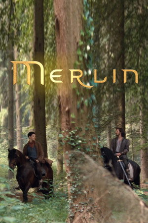 Merlin 81