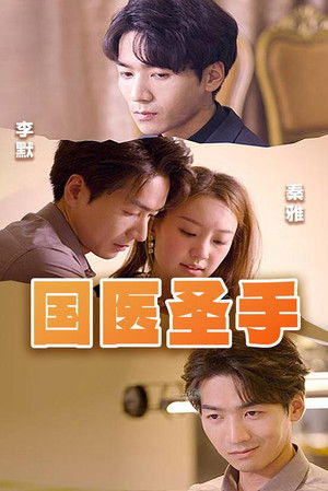 国医圣手