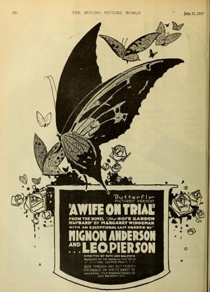 Poster A Wife on Trial 1917