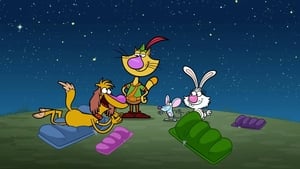 Nature Cat Star Gazers